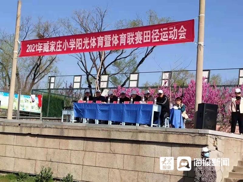 分析！杨浦区小学排名“桃红柳绿”