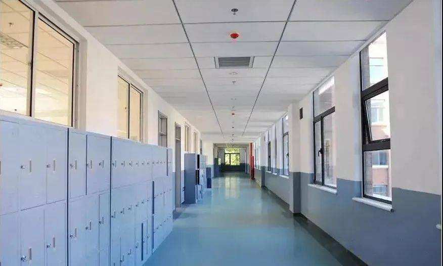 分析！晋州二中贴吧“纯一不杂”