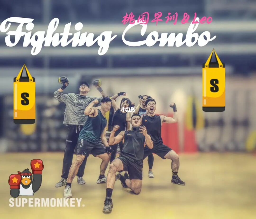 分析！fighting中文意思