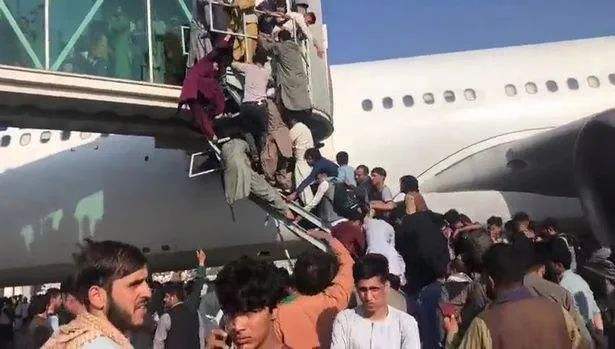 达人分享！飞机时速多少“夏花依旧”