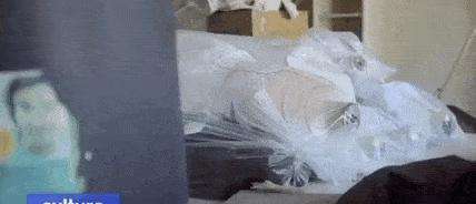 讲解！什么一唱天下白“星星点点”