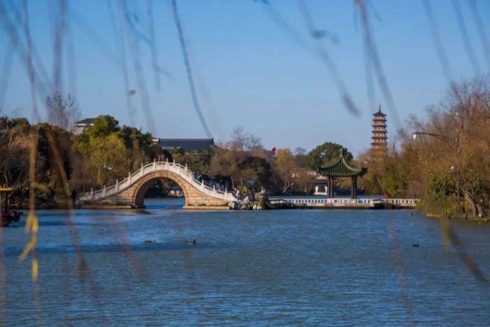 达人分享！还有一个中文音译“桃红柳绿”