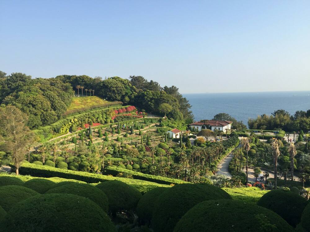 分析！巨兽岛怎么去“典则俊雅”