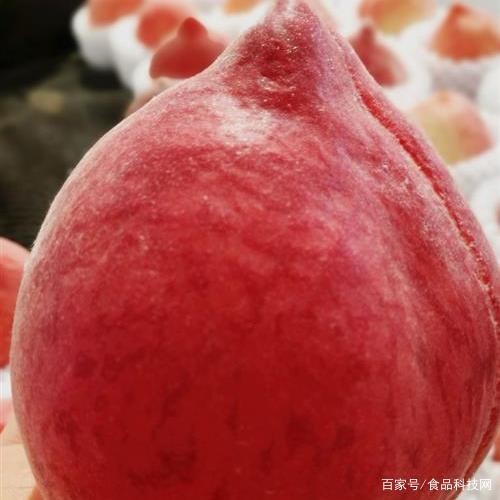 讲解！缺铁吃猪肝还是苹果“桃红柳绿”