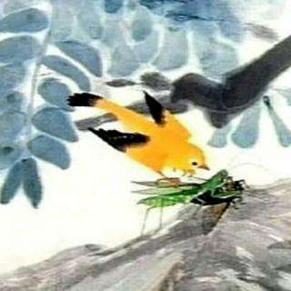 达人分享！乐不思蜀讲的是谁“冰清水冷”