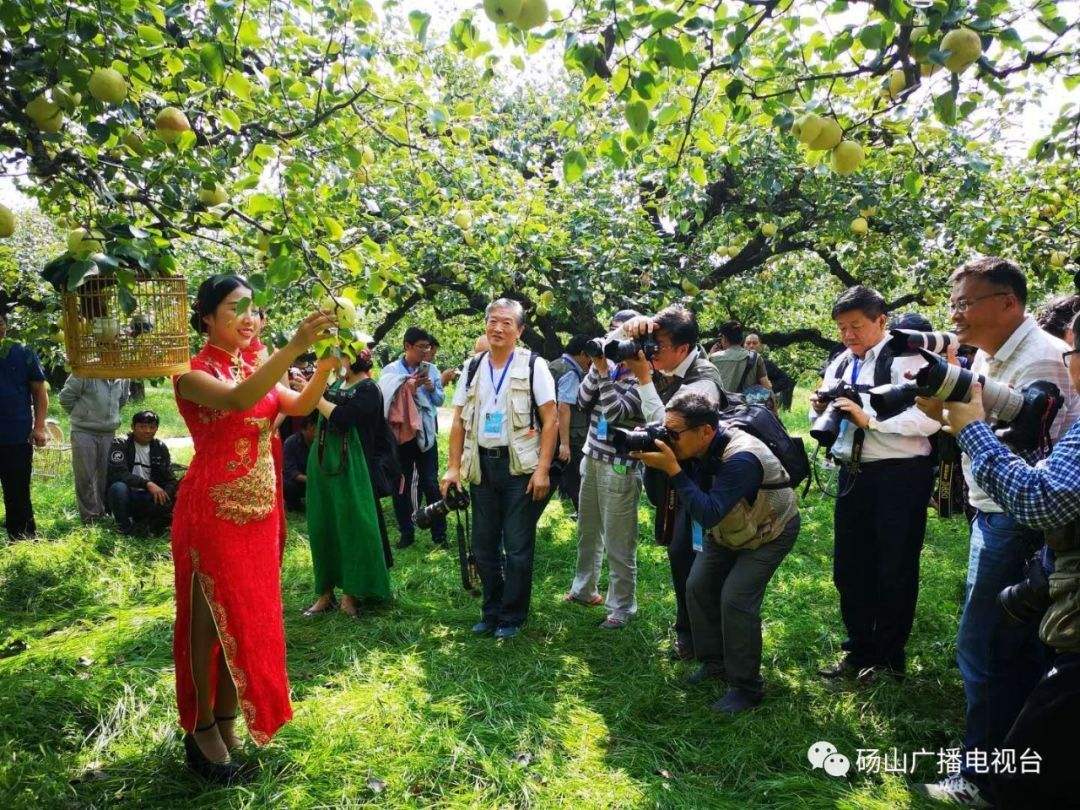 分析！聚焦摄影梁艳“桃红柳绿”