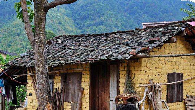 分析！古语说狐死必首丘“夏花依旧”