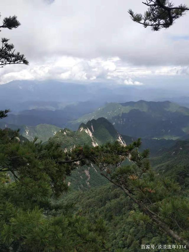 达人分享！一月一次的思想汇报“空谷幽兰”