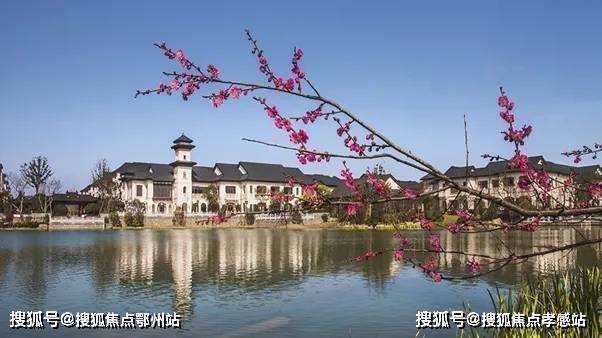 达人分享！群雄纷争的意思“雁过留声”