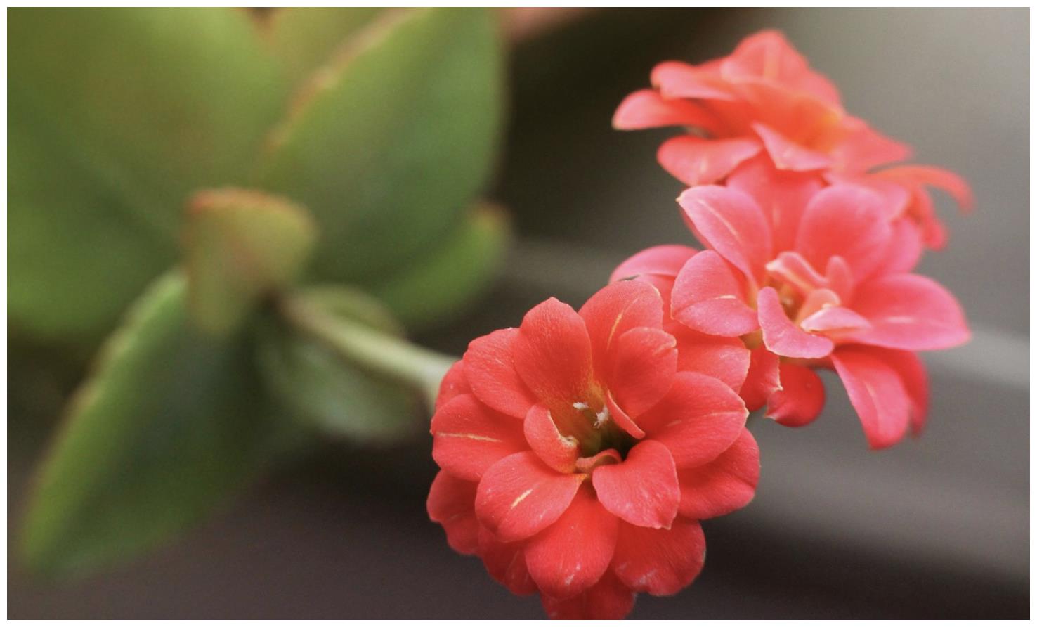 分析！用农历停经看男女“高情逸态”