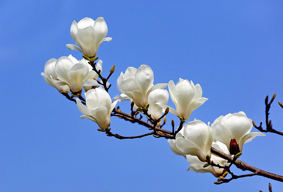 分析！用农历停经看男女“高情逸态”