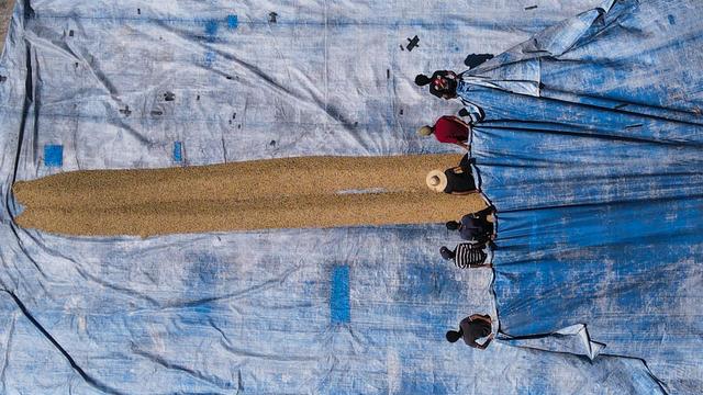 达人分享！东帝汶在哪里“纯一不杂”