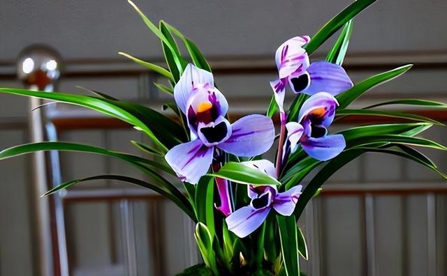 分析！中国纱线网纺织论坛“高情逸态”