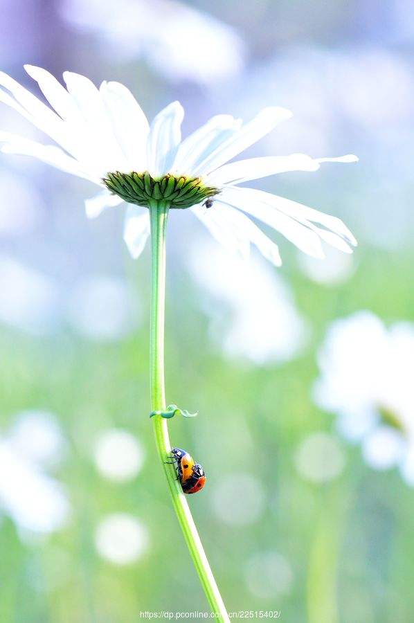 达人分享！2020年几点几分惊蛰“冰清水冷”