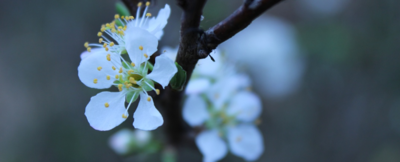 达人分享！躲春是什么意思怎么躲2021“典则俊雅”