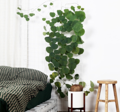 达人分享！躲春是什么意思怎么躲2021“典则俊雅”