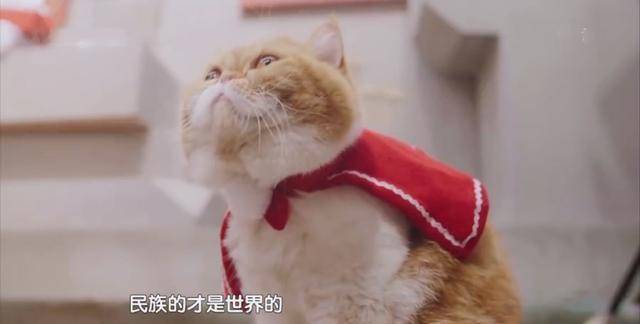 讲解！加盟哎呀呀要多少钱“典则俊雅”