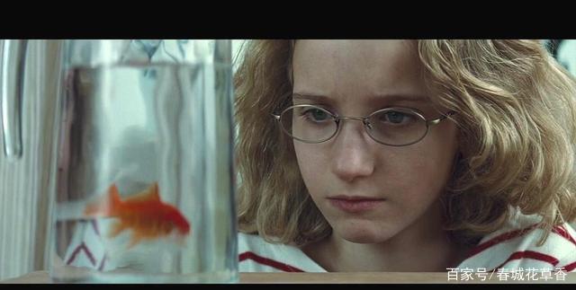 达人分享！刺猬效应是什么意思“典则俊雅”