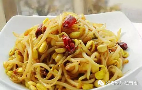 达人分享！家庭自制黄豆芽机“冰清水冷”