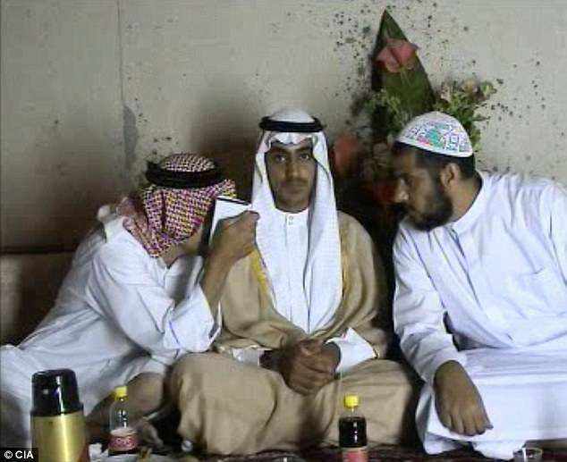 分析！拉登死亡真相“高情逸态”