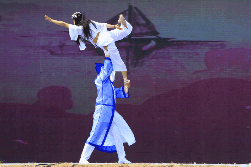 分析！唯美风景动态图片“桃红柳绿”