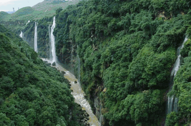 分析！唯美风景动态图片“桃红柳绿”