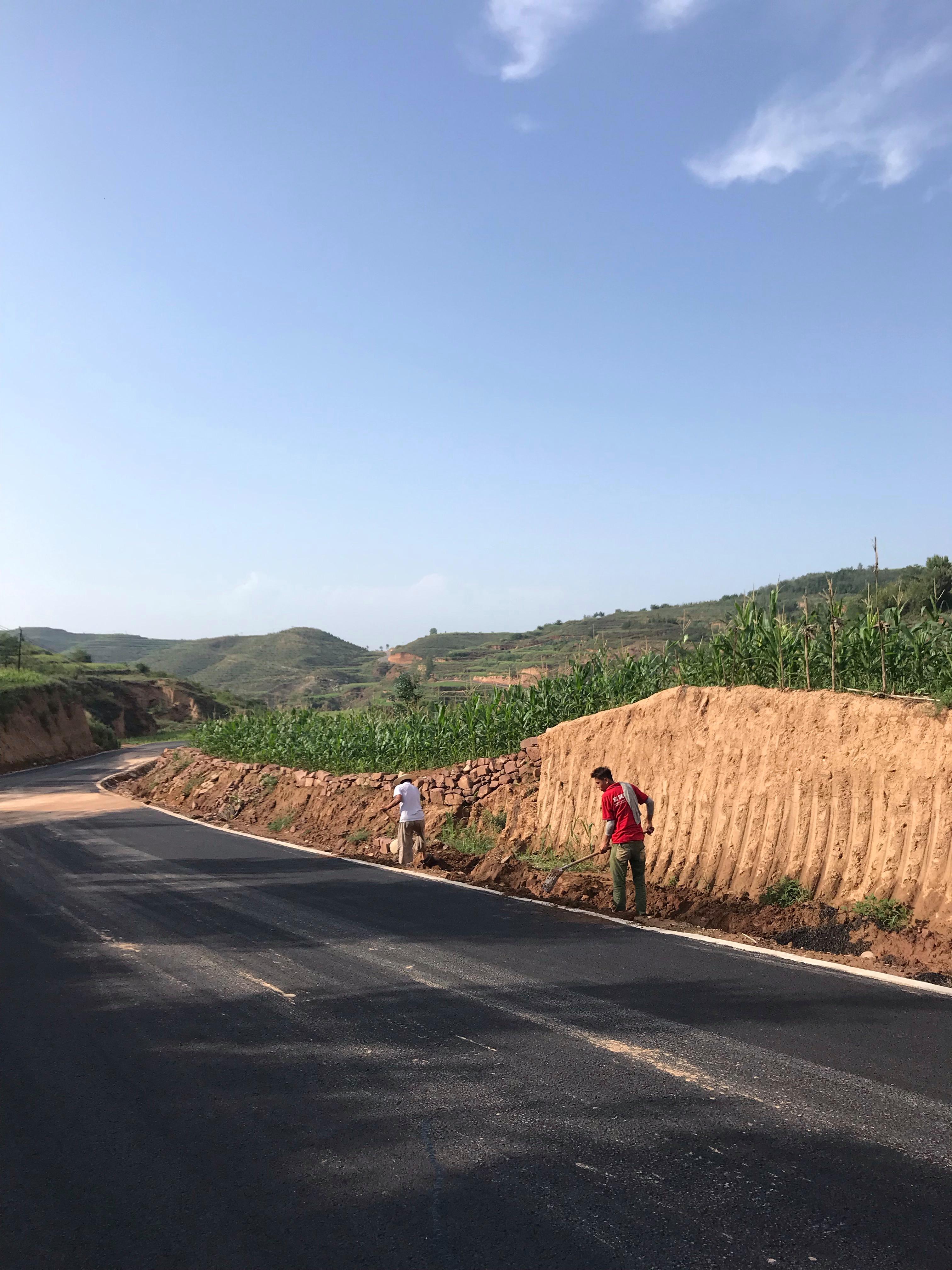 分析！土路肩“桃红柳绿”