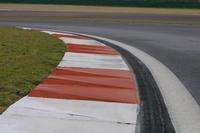 分析！土路肩“桃红柳绿”