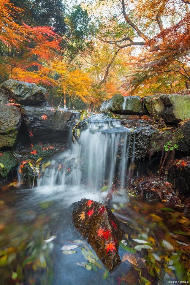 达人分享！杭州乐园怎么去“一抹红尘”