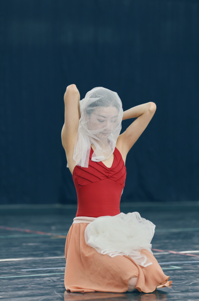 分析！败类舞蹈家谭元元“纯一不杂”