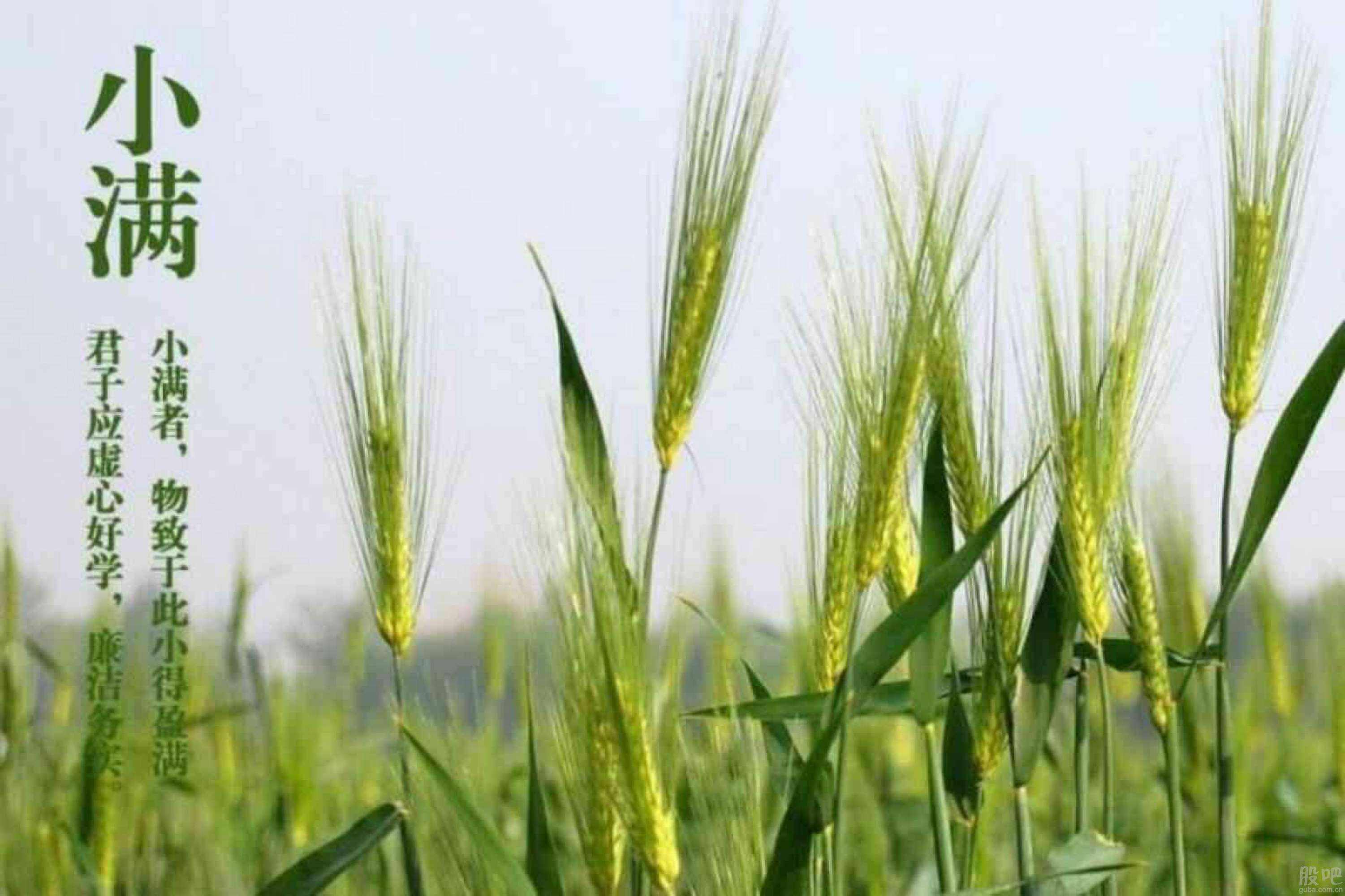 讲解！小满节气诗谚“冰清水冷”