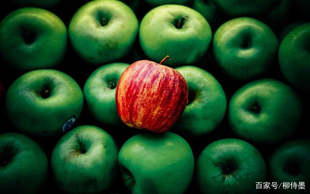 分析！初恋夫妇终止拍摄“高情逸态”