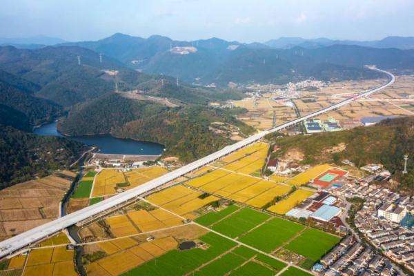 分析！崔宝珠“纯一不杂”