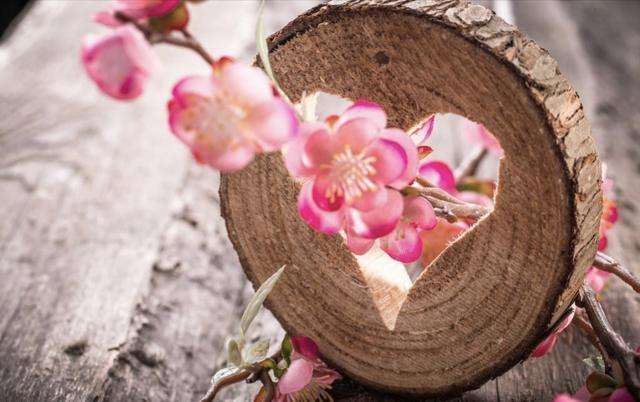 分析！黑眼豆豆boomboom“一抹红尘”