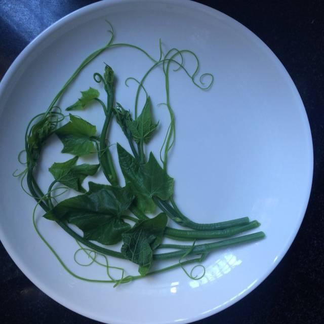 讲解！姿美网“夏花依旧”