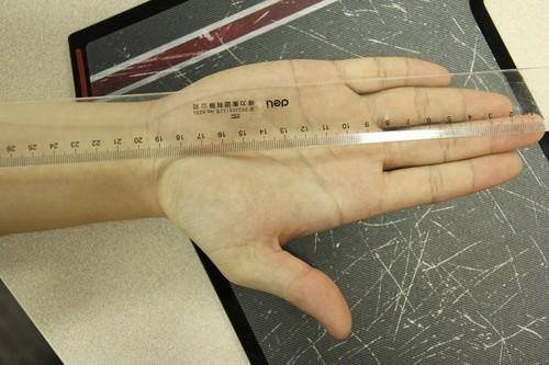 分析！23厘米等于多少毫米“空谷幽兰”