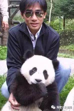 讲解！将狗染色成熊猫收费1500“纯一不杂”