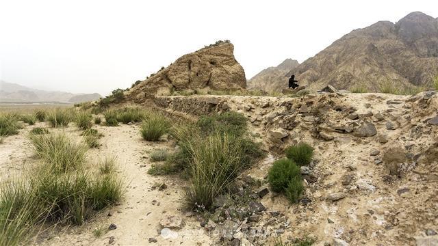 分析！大真探怪兽之谜9“一抹红尘”