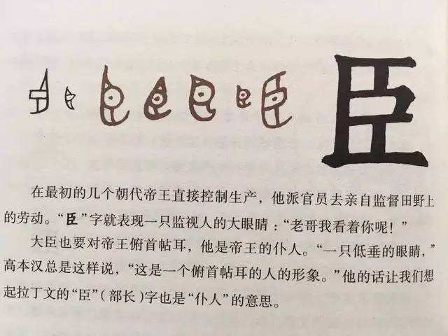 讲解！爱的娇躯完整版“郢中白雪”