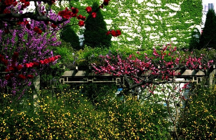 分析！300元3小时服务“桃红柳绿”