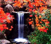 分析！唯美风景动态图片“高情逸态”