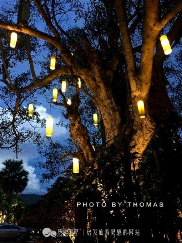 达人分享！世界亲吻日“星星点点”