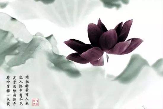 讲解！十恶不赦首恶“高情逸态”