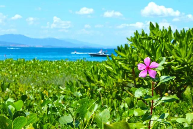 达人分享！南海岛屿实际控制图“空谷幽兰”