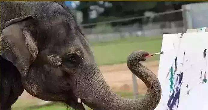 达人分享！兽医师资格考试“一抹红尘”