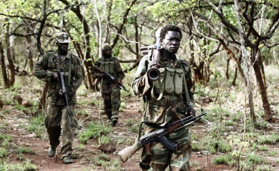 讲解！拉登全名“高情逸态”