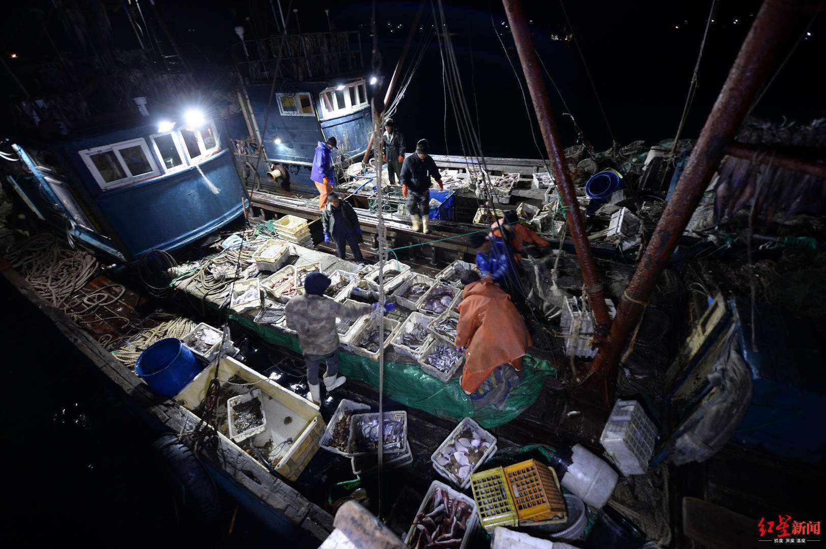 讲解！獐子岛已暂停播苗