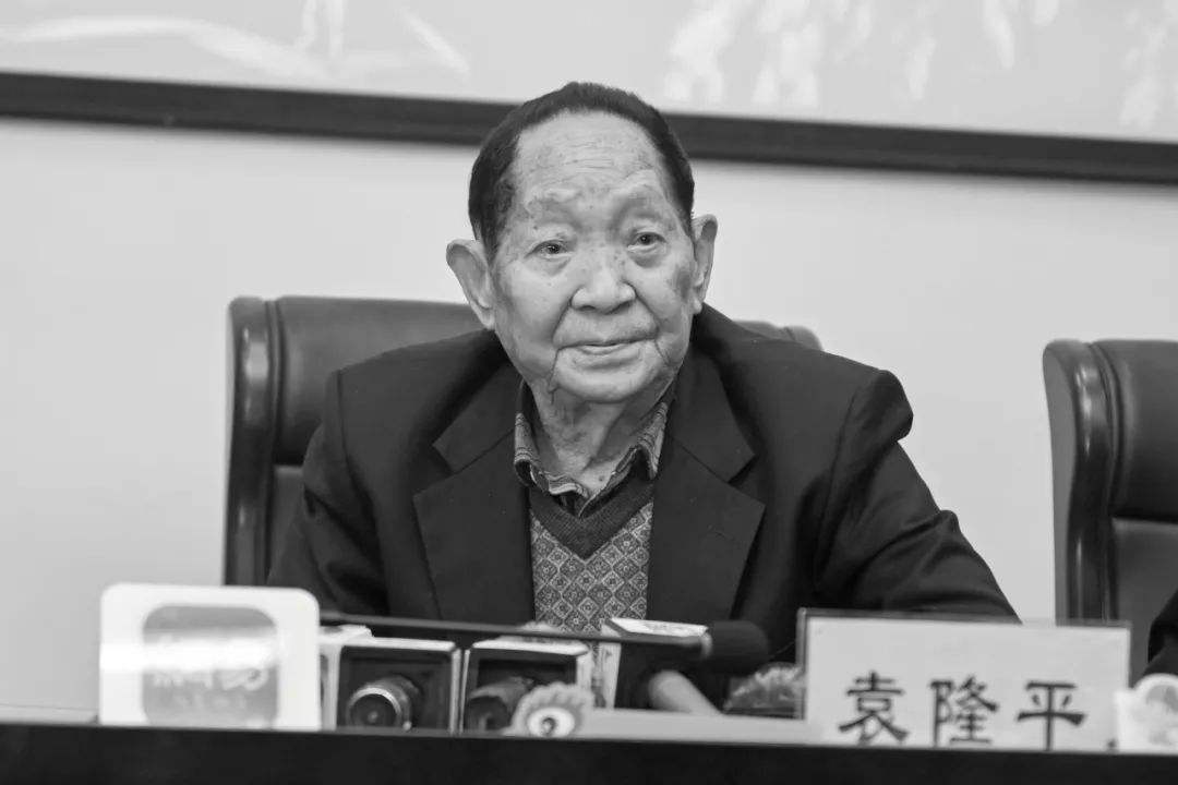 达人分享！只有袁隆平爷爷可以说我胖“夏花依旧”