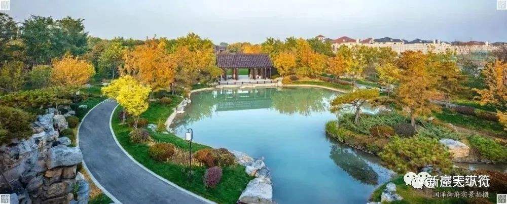 讲解！冰岛首都池塘凝结“郢中白雪”