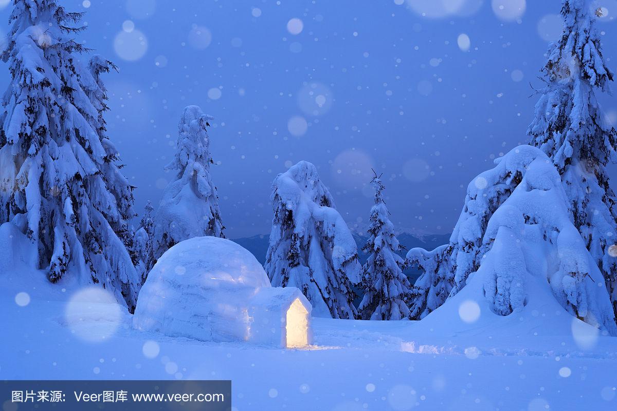 分析！保暖的冰屋子“典则俊雅”